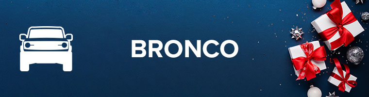 Bronco-Anchor