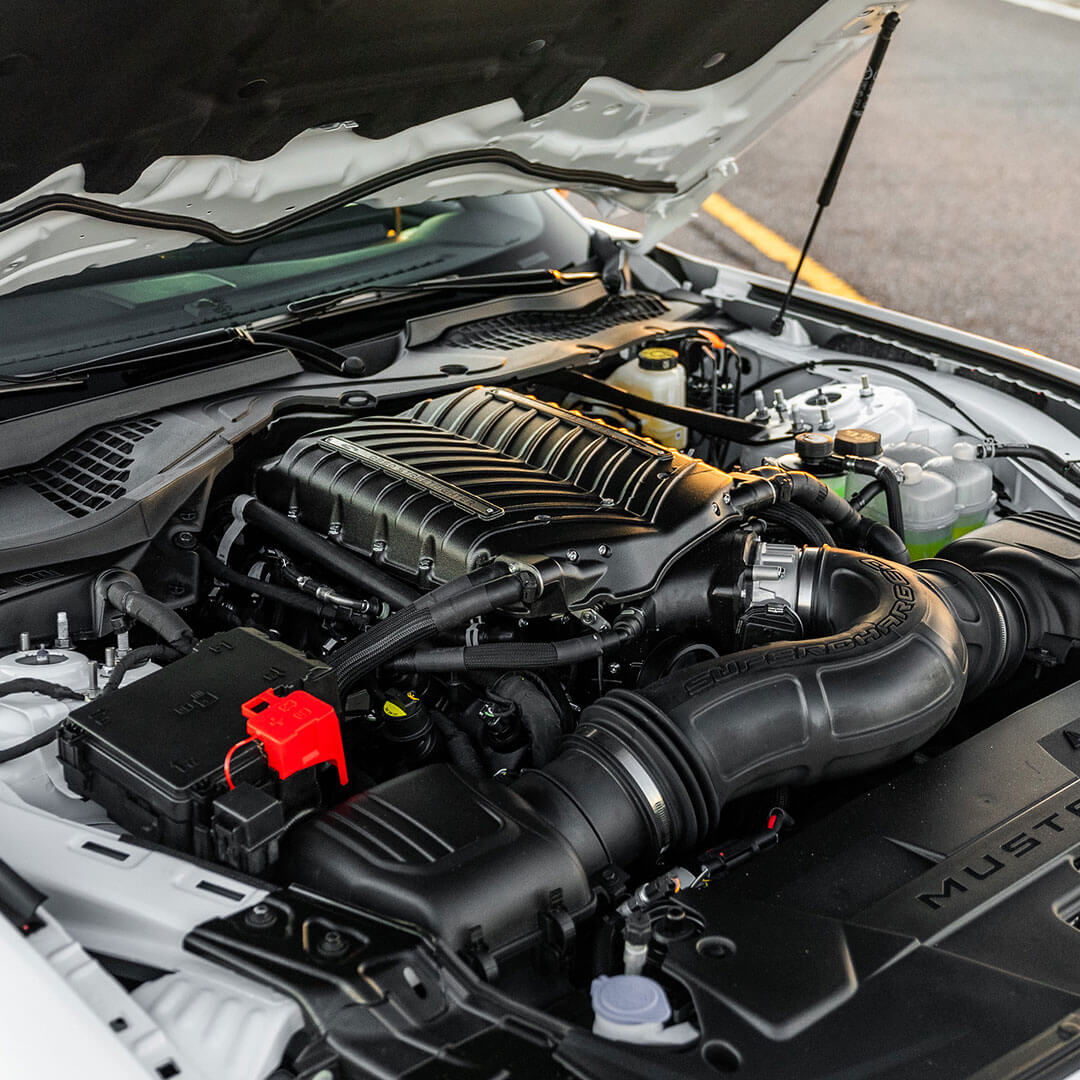 Steeda Q850 Mustang Gallery 2