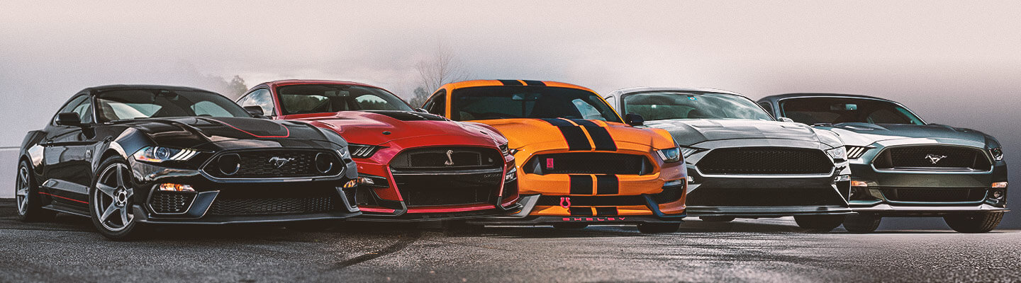 Mustang S550 The Complete Guide