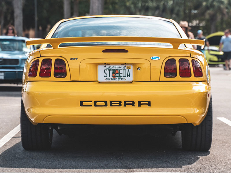 Best Mustang Week License Plates