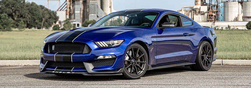 shelby gt350