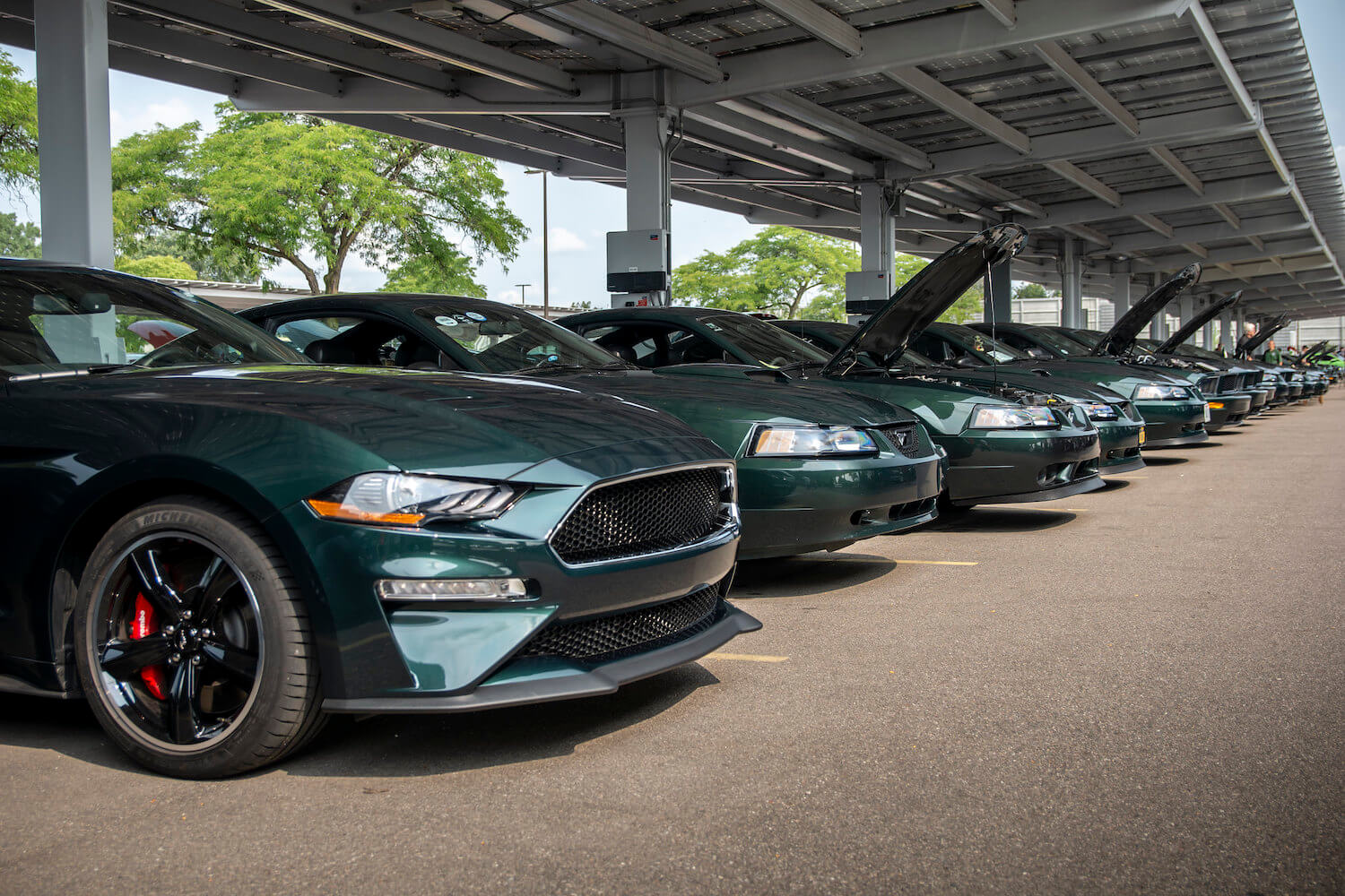 Mustang Bullitts On Display Ford HQ