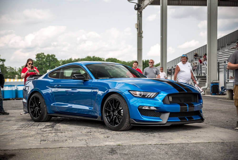Velocity Blue Mustang