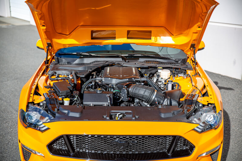 Steeda Q850 Mustang Engine Bay