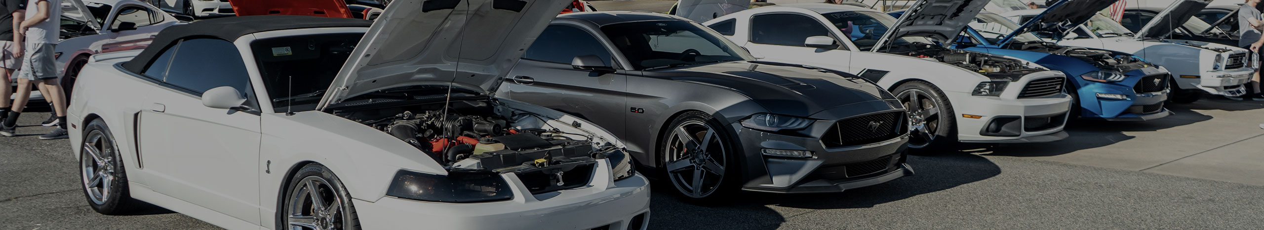 Mustang Events and Car Shows