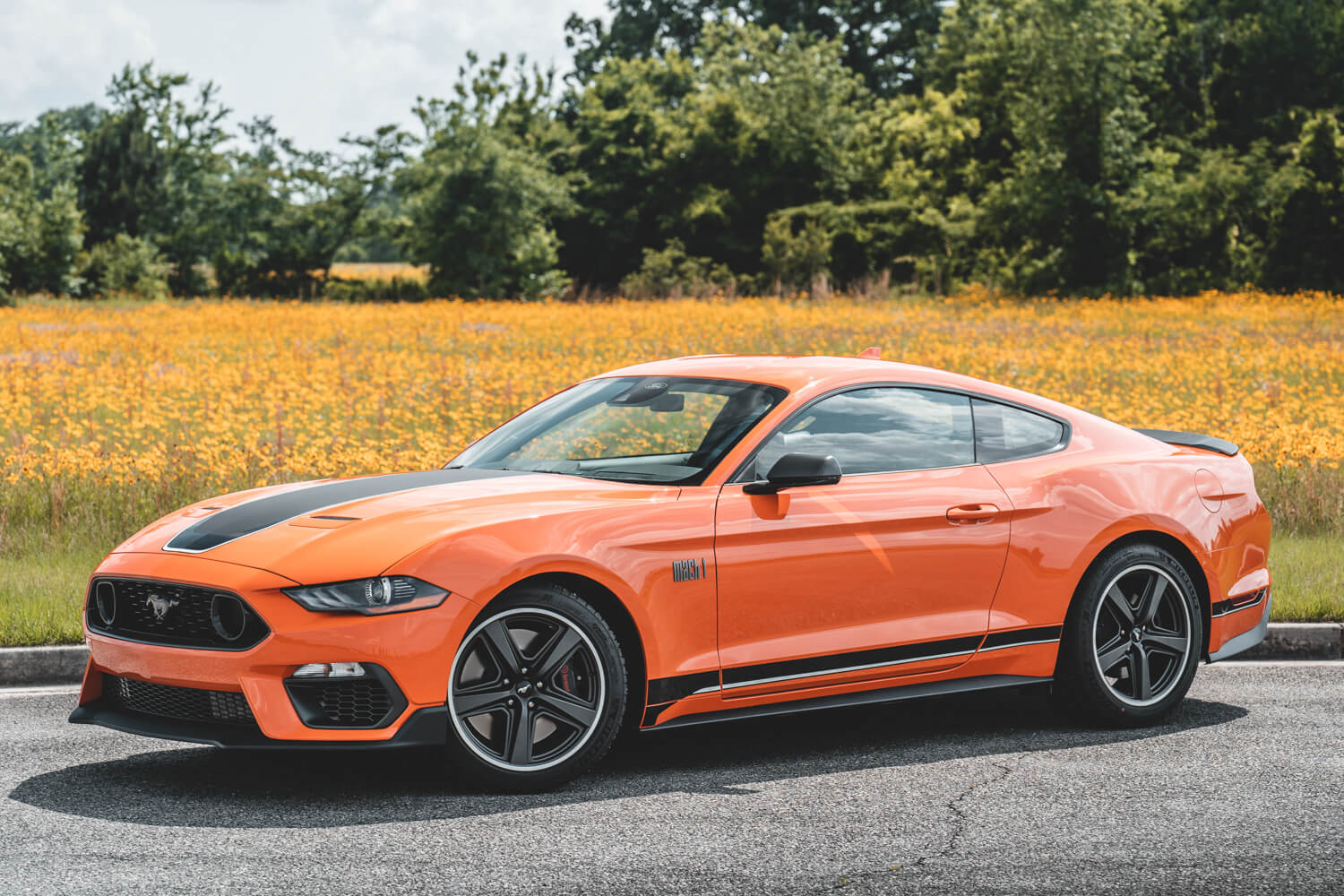 Steeda 2021 Mustang Mach 1 Build Photo10