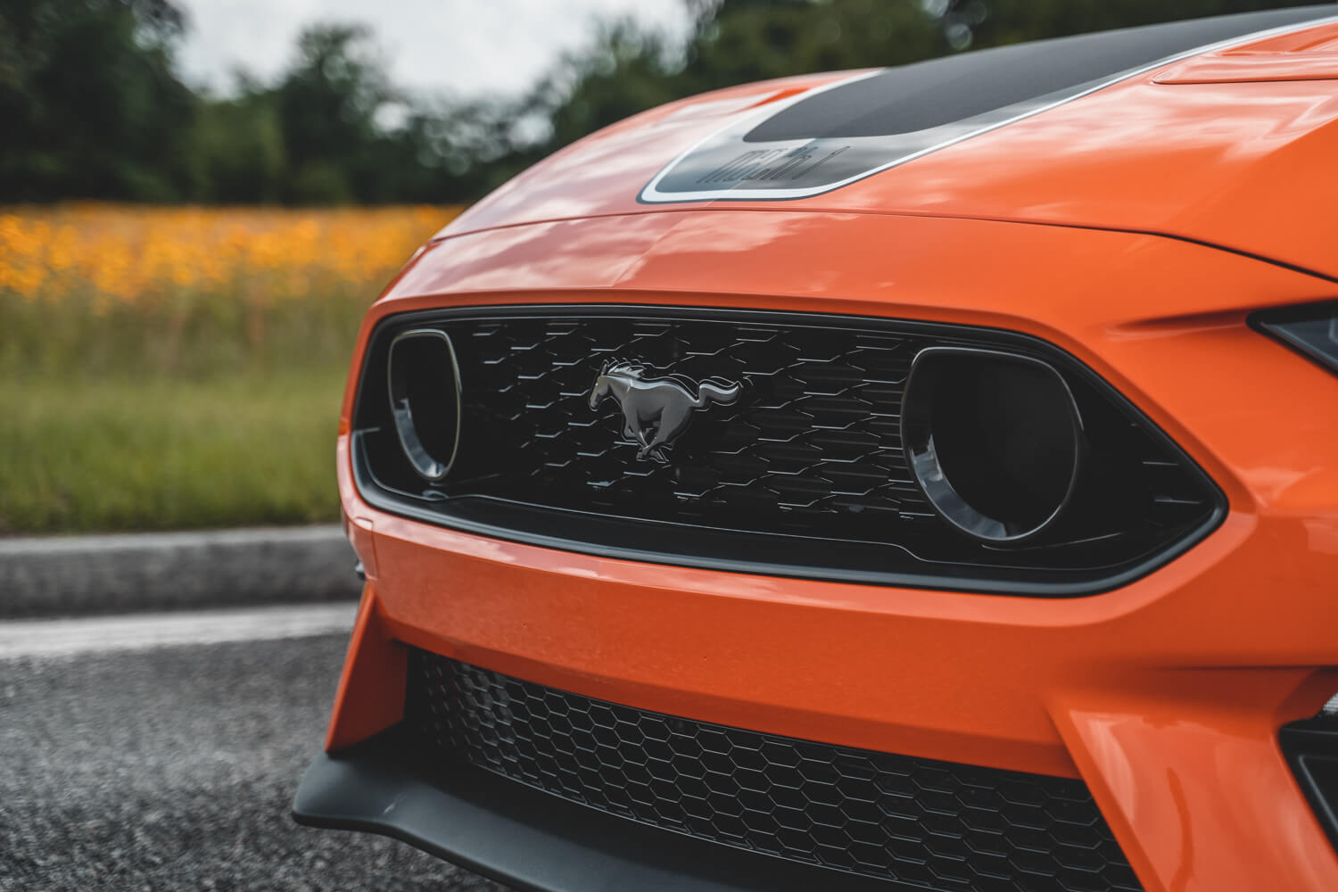 Steeda 2021 Mustang Mach 1 Build Photo13