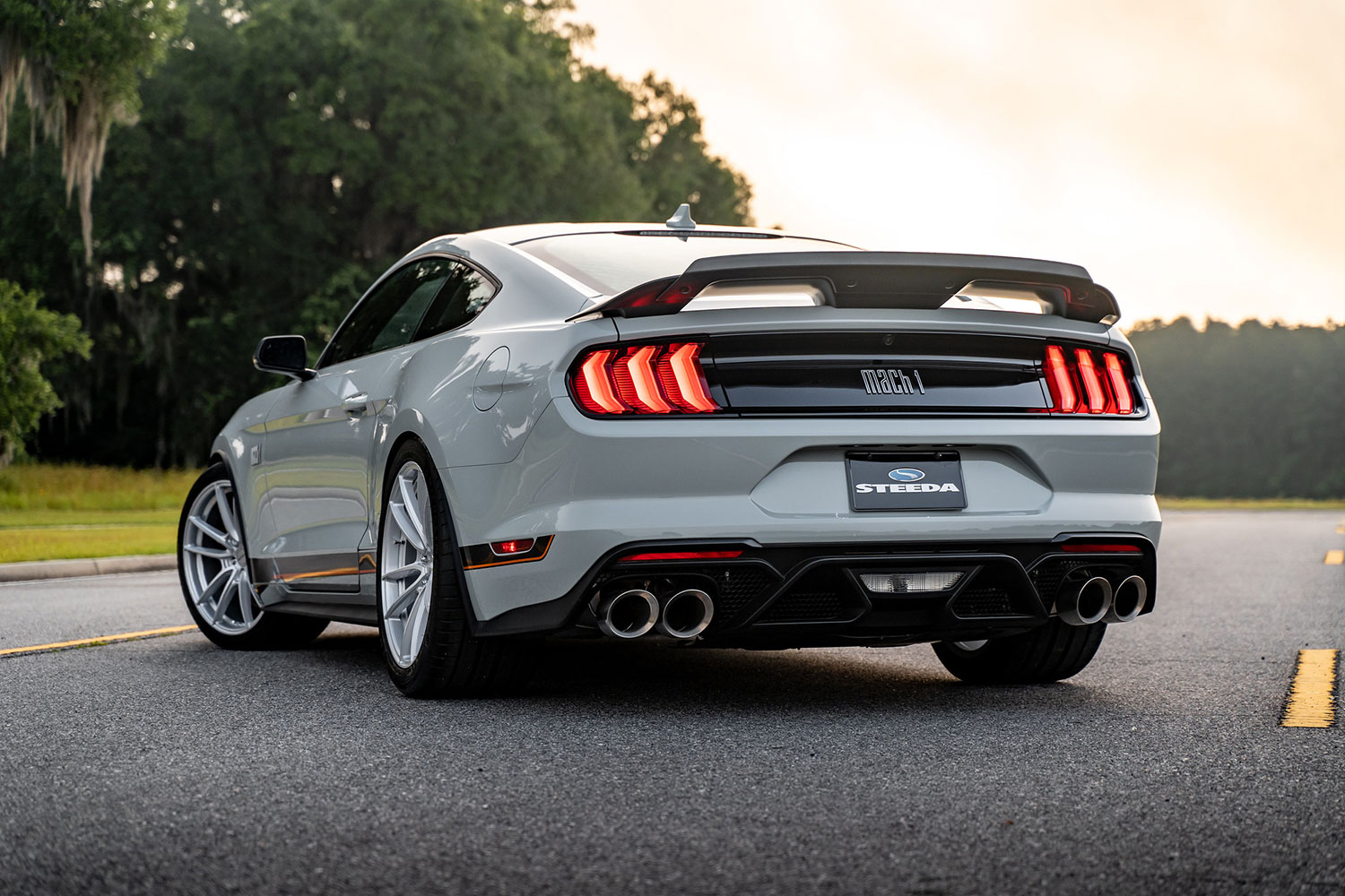 Steeda Mach 1 Photo